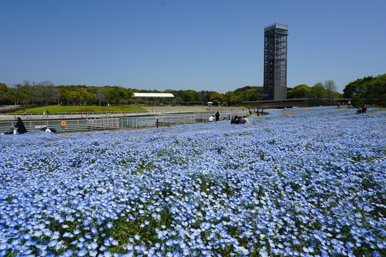 浜名湖花フェスタ2026【浜名湖ガーデンパーク会場】