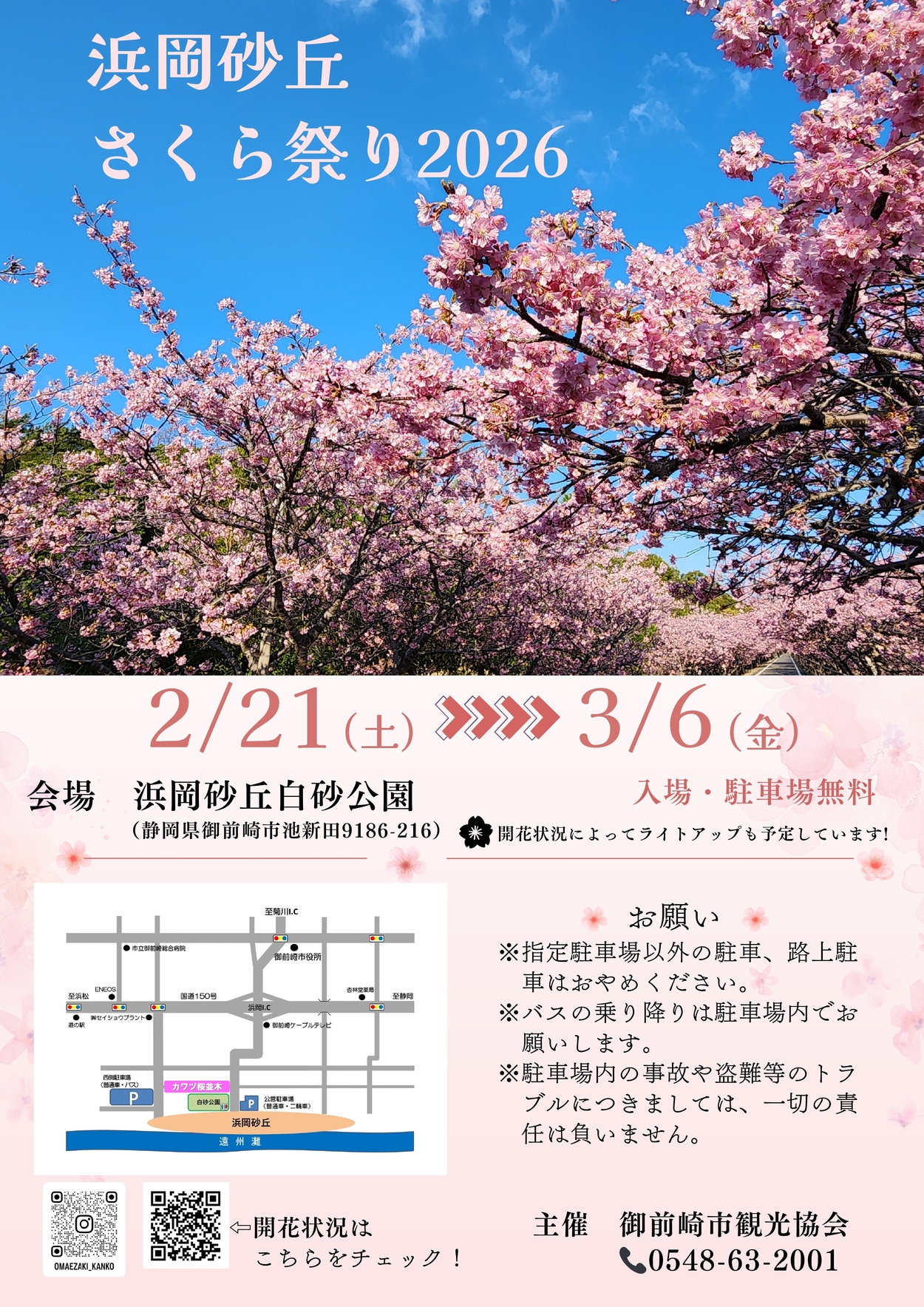 浜岡砂丘さくら祭り2026