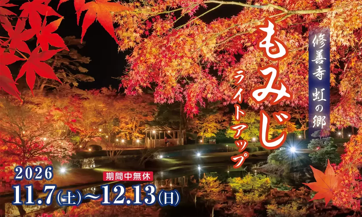 修善寺 虹の郷　もみじライトアップ