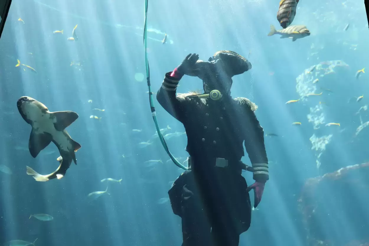 ペリー提督による魚の餌付けショー