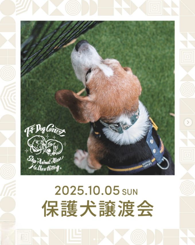 1HOTEL 保護犬譲渡会