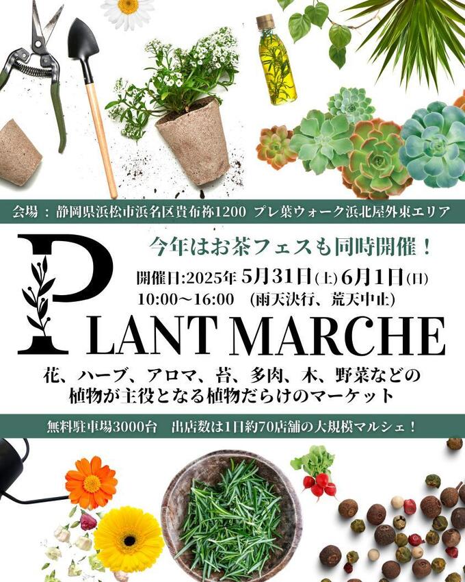PLANT MARCHE