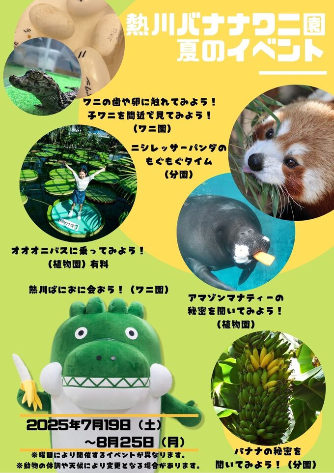 熱川バナナワニ園 夏のイベント