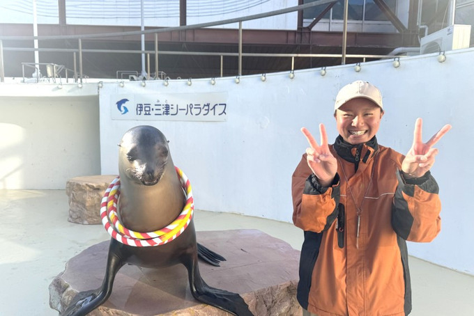 アシカと遊ぼう！トレーナー体験