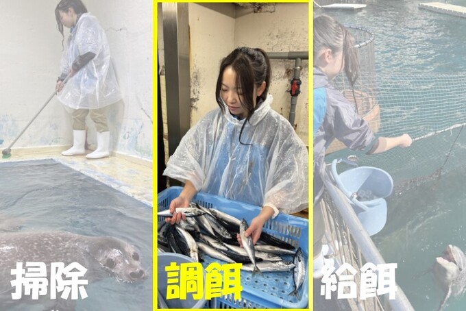 楽しくお仕事体験