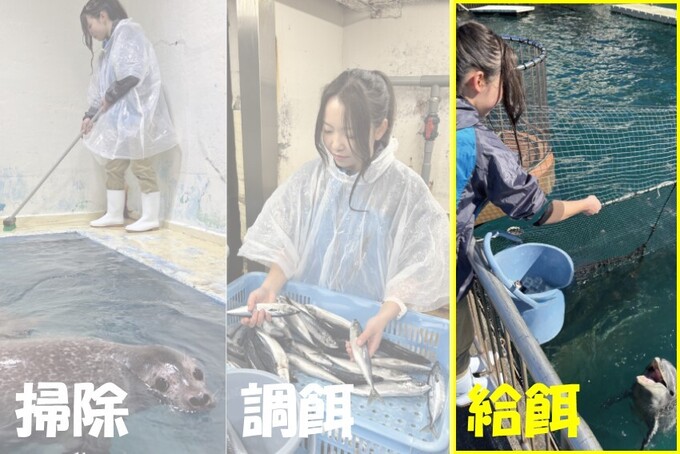 楽しくお仕事体験（飼育員）