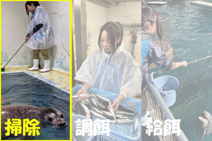 楽しくお仕事体験（飼育員）