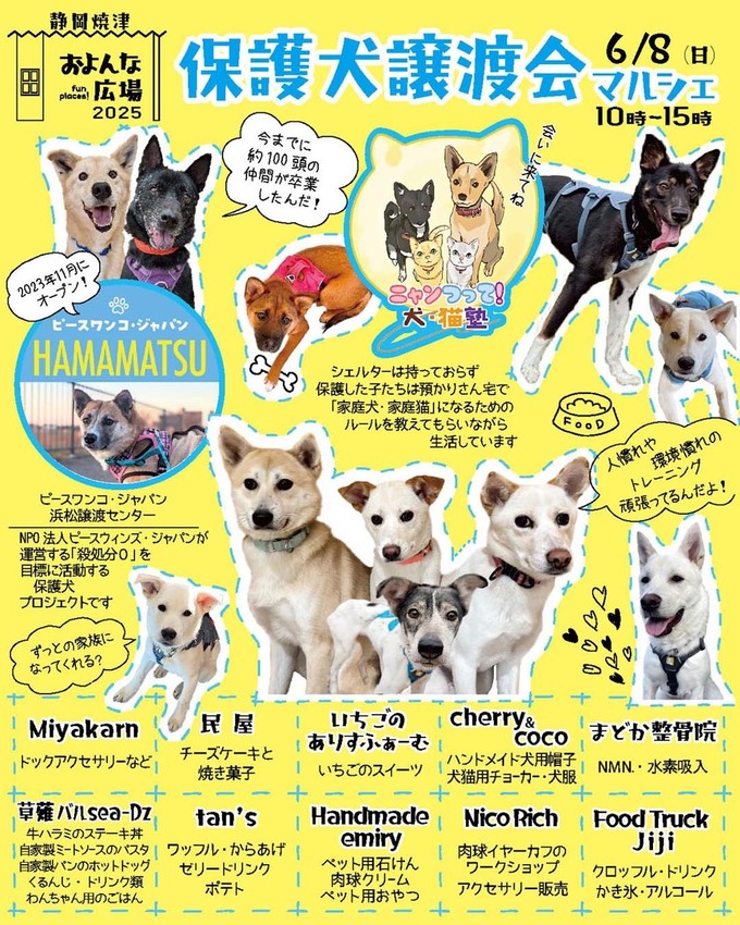 およんな広場 保護犬譲渡会マルシェ