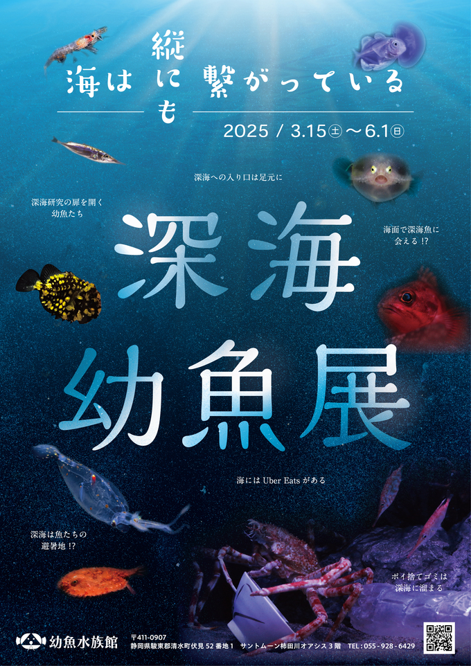 深海幼魚展～海は縦にも繋がっている～