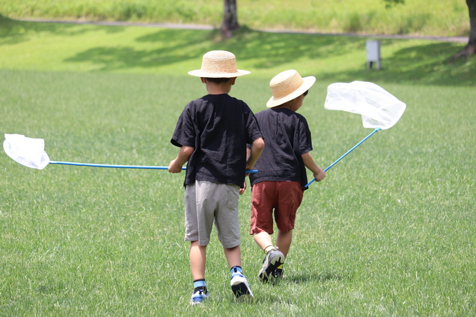 学んで遊べる！ 昆虫とすごす夏体験